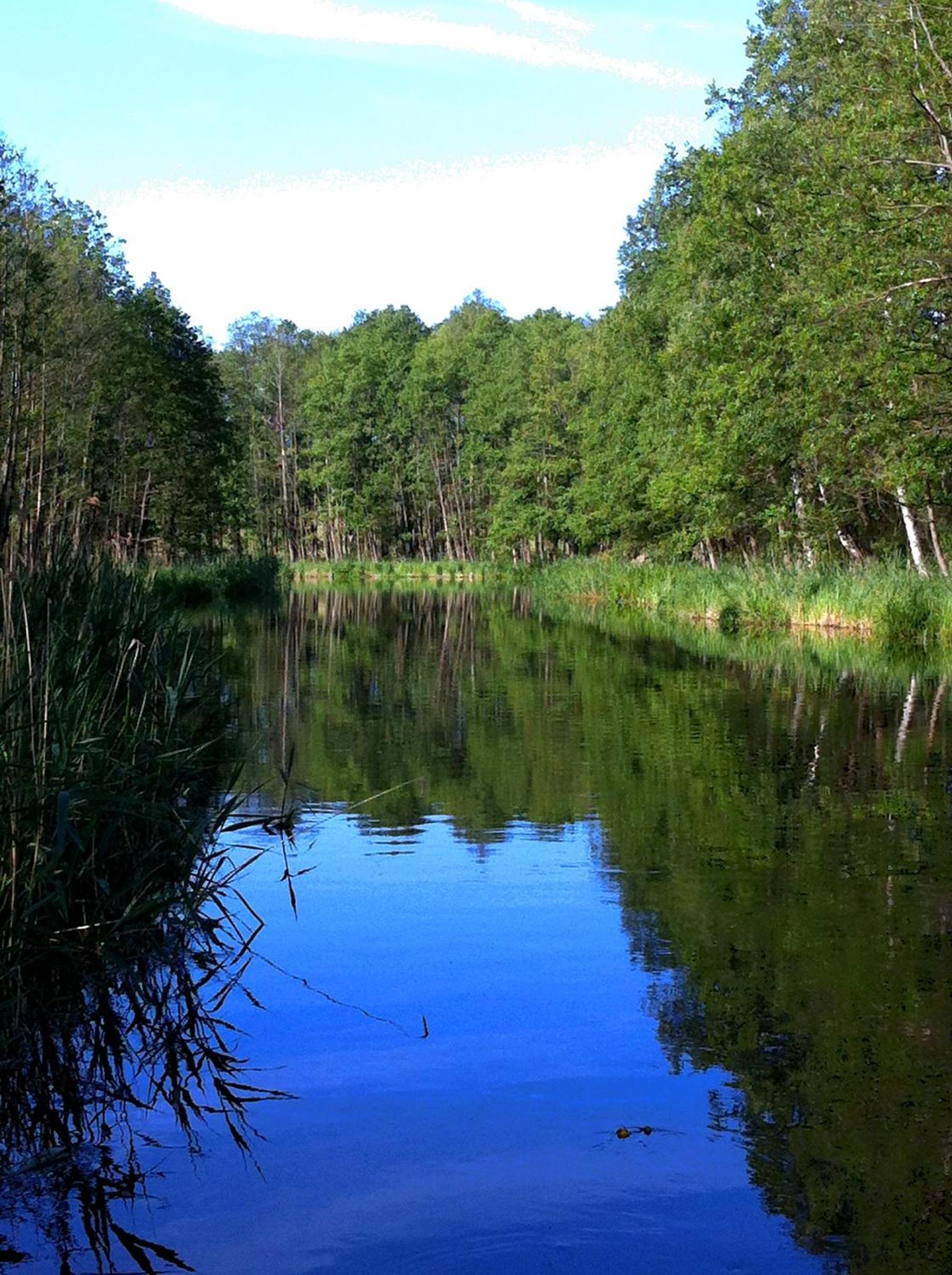 Osrodek Wypoczynkowo-Turystyczny Perla Krutyni Hotel Nowy Most Bagian luar foto