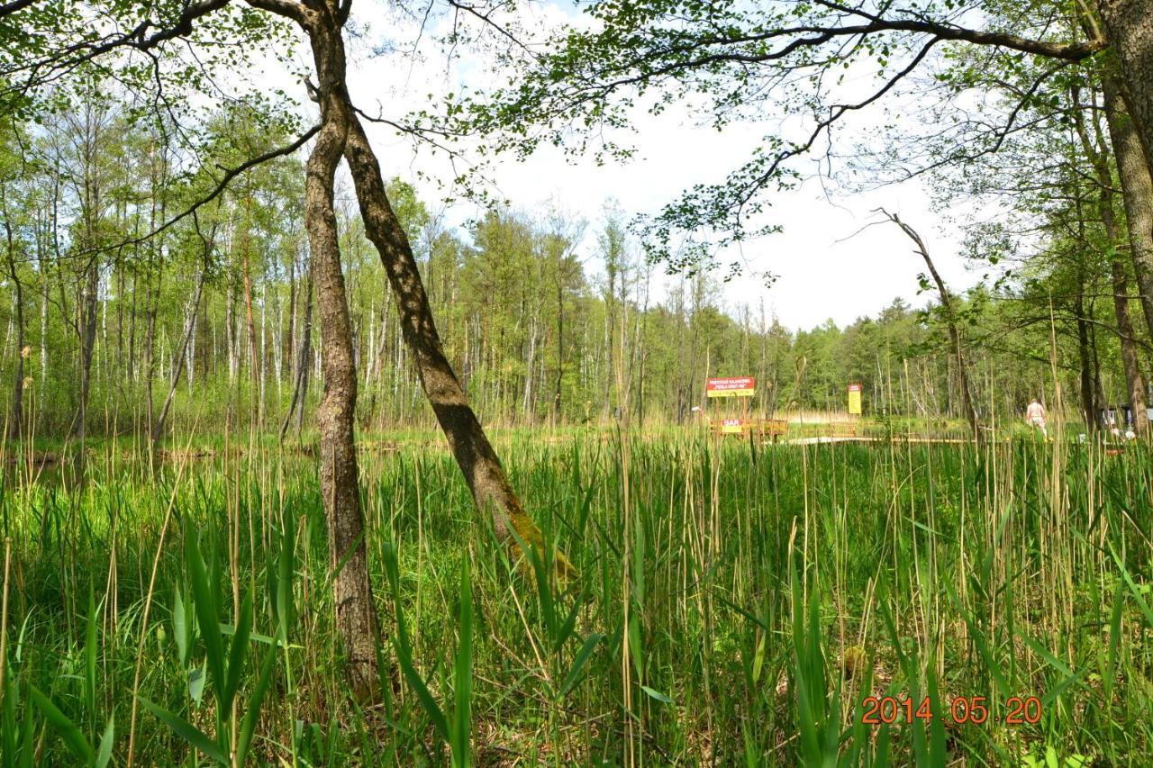 Osrodek Wypoczynkowo-Turystyczny Perla Krutyni Hotel Nowy Most Bagian luar foto