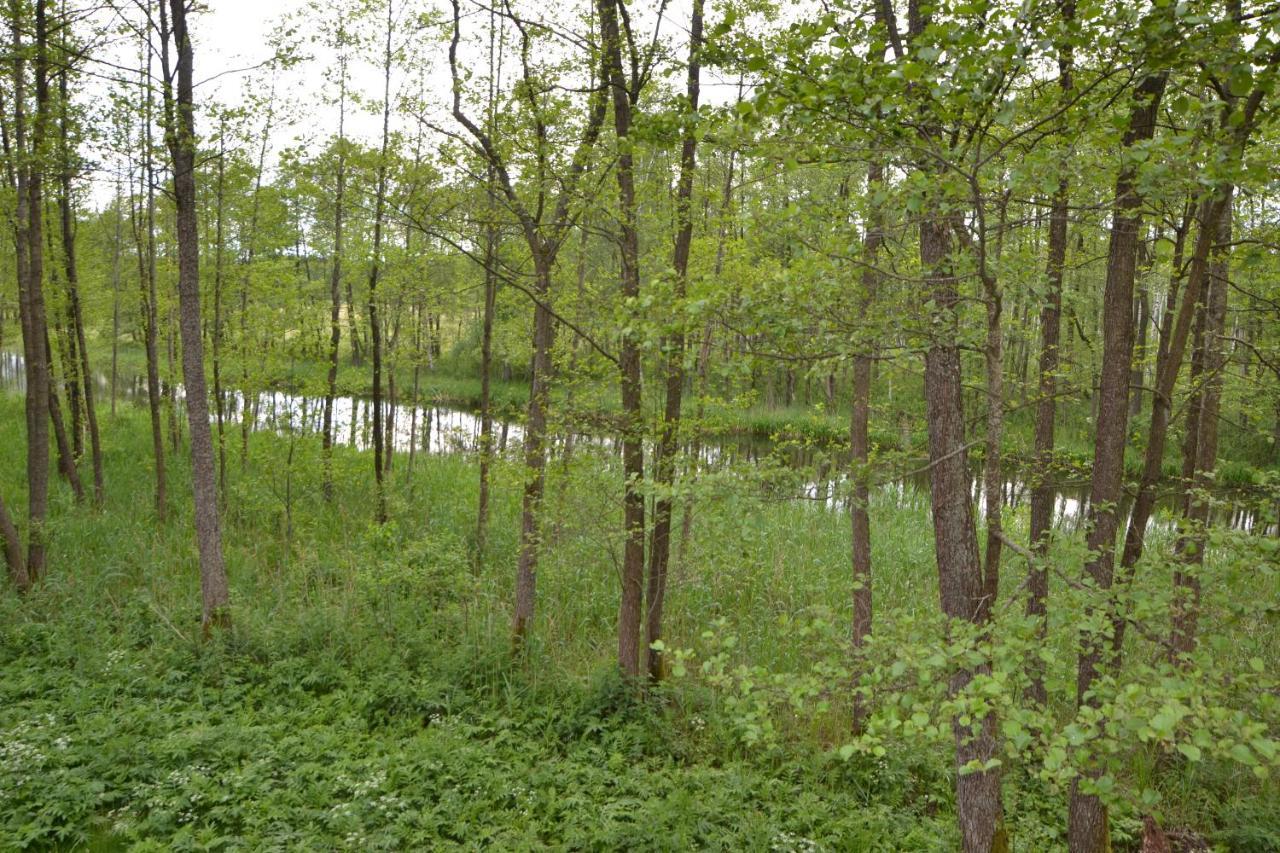 Osrodek Wypoczynkowo-Turystyczny Perla Krutyni Hotel Nowy Most Bagian luar foto